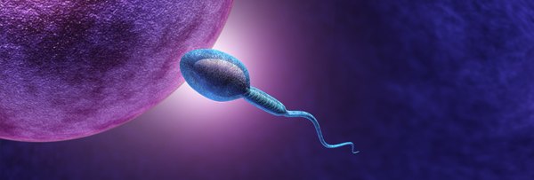 Sperm Detection 唯公科技